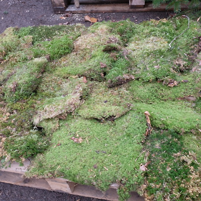 Figurice in dodatki za jaslice NARAVNI MAH (zaboj) cca 1 kvadratni meter