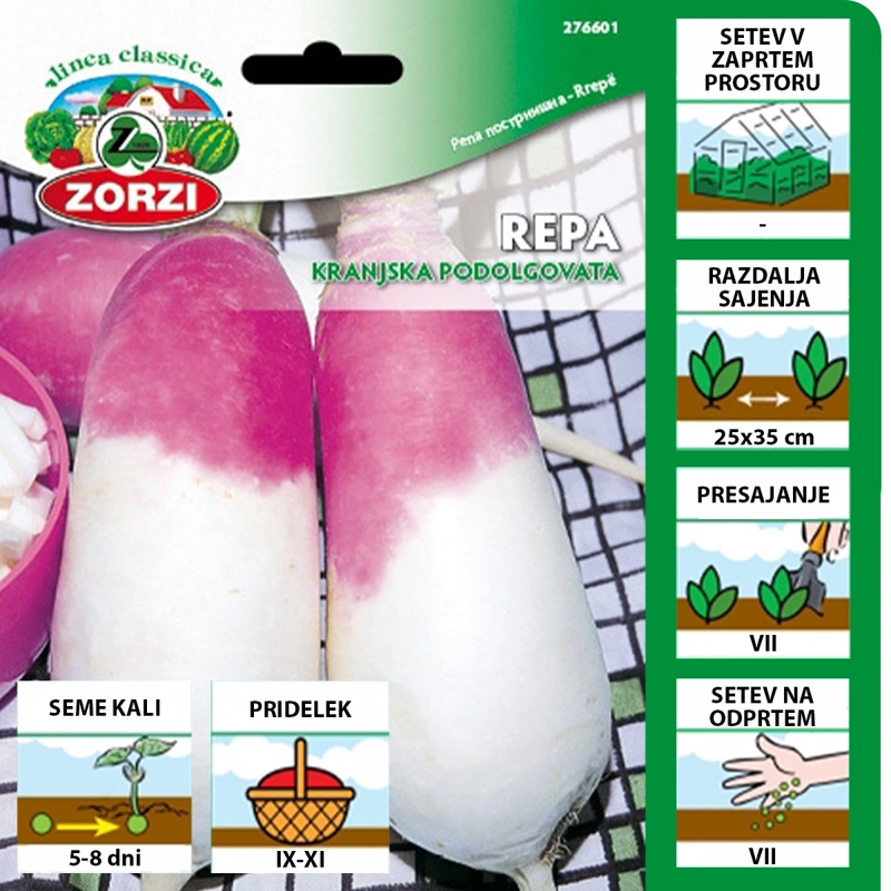 repa podolgovata semenska vrecka