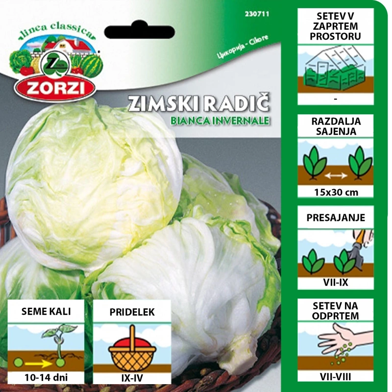 Radič Zimski Bianca Invernale | Sadike.si
