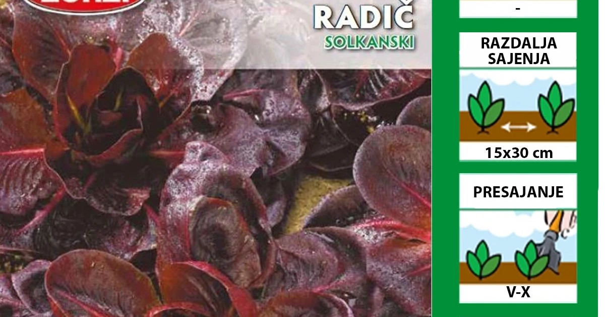 Radič Solkanski | Sadike.si