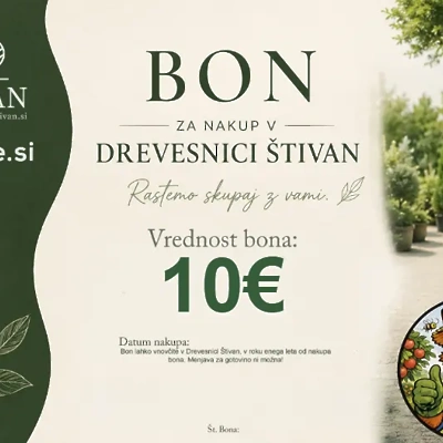 Darilni bon Drevesnice Štivan 10€
