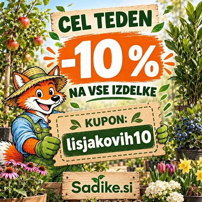 Lisjakova Akcija: -10%