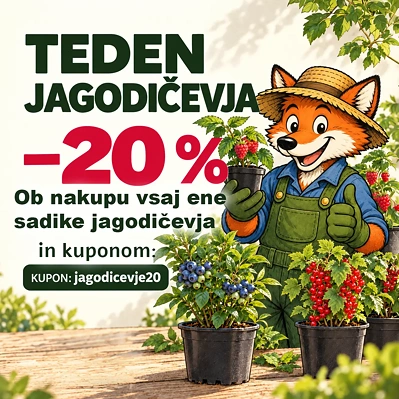 Lisjakova Akcija: 20% popusta na jagodičevje