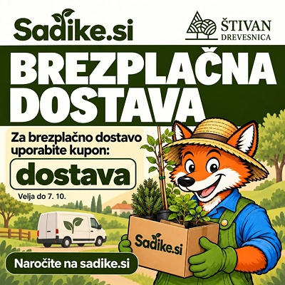 Lisjakova Akcija: Brezplačna dostava