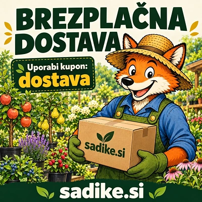 Lisjakova Akcija: Brezplačna dostava